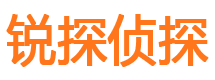 大悟市私家侦探